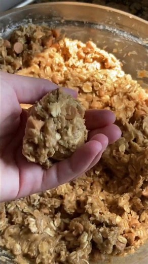 Sourdough Butterscotch Cookies #sourdough #homemadedesserts #easyhomemaderecipes