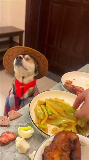 Ku Gen's Unruly Dining Adventures Daily