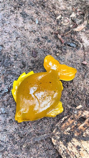 DIY Mini Soap for Survival Skills: A Handy Guide