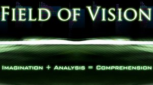 Preview of the Field of Vision DVDs