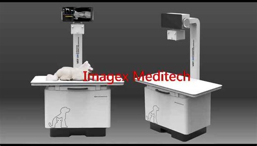 Veterinary Floor-mounted DR Digital Radiography System X-ray Equipment for Animal Hospitals