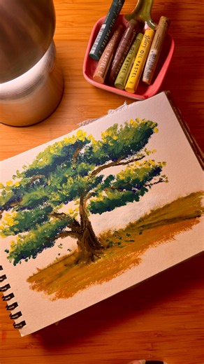 For the places that never turn orange, forever green and lush 🍃🌱 Material used: 📒Notebook/paper: non textured, 160gsm sketchbook. (Any non textured sketchbook will work) 🖍️ Crayon: mungyo soft oil pastels (link in bio) comes in different color ranges. Color codes: greens - 228, 242, 201, browns: 235, 238, 248 Tripod: Table mount (link in bio) Have fun creating your versions ✨ . . . . . . [Oil pastel, oil pastel art, fyp, for your page, explore page, trending reel, oil pastel drawing, trendin