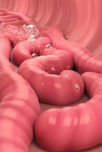 Why your stomach growls 🤯||science facts||