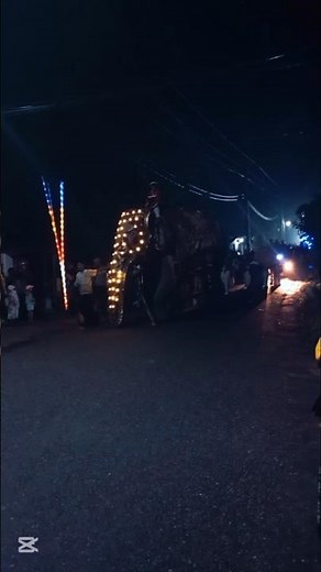 කඨින පෙරහැර ❤️ | Katina Perahara