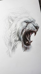 Thokk aka BattleBeast | Part 1! Just had to add another member to the Invincible collection and this guy has been a popular request ever since drawing Conquest! Here we are. Not going completely to plan so far, this being my second attempt but I’m fairly confident I like which direction this is going! Hope you like it too! ——————————————————----#battlebeast #invincible #drawingtutorial #mixedmediaart #drawingchallenge #coloredpencilart | Wil Shrike Art