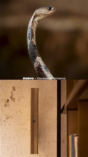 World's Smallest loud Speaker K Array’s speakers | lizard | Anaconda | Vyper | Kobra | Python