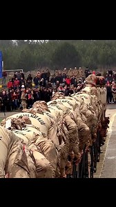 245 reactions · 25 shares | Synchronization of Turkish soldiers. #synchronization | Robbo Fox | Facebook