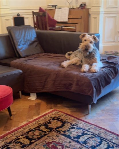 Ruby Granger 🍂 on Instagram: "New glasses, blood moon & Maileg mouse camping with my cousin ⛺️🐭"