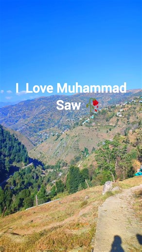 Beautiful scenery❤🥀 | Kashmir Valley