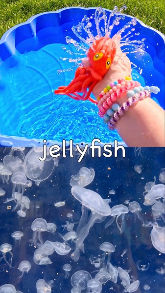 Learn Sea Animal Names for Kids with Toys: Jellyfish Starfish Octopus Seal Penguin