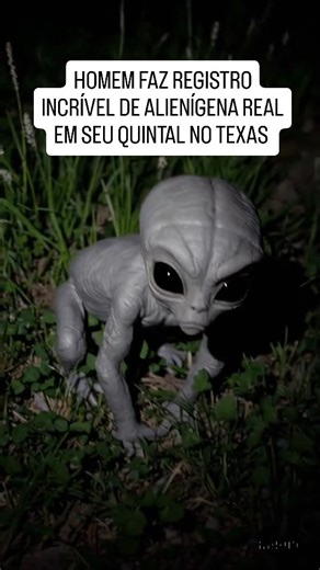 Lion Santos Nascimento | HOMEM FAZ REGISTRO INCRÍVEL DE ALIENÍGENA REAL EM SEU QUINTAL NO TEXAS #alienigena #conspiração #nasa #misterio #elonmusk #ovni #uap #alien... | Instagram