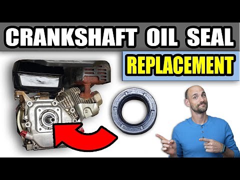 Oil Seal Replacement - Small Engine Crankshaft Seal