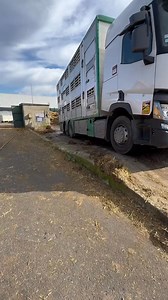 Etage complet 💪🏻💦 #cleaning #betaillere #nettoyage #satisfying #clean #satisfaisant #foryou #pourtoi #livestock | Josheph