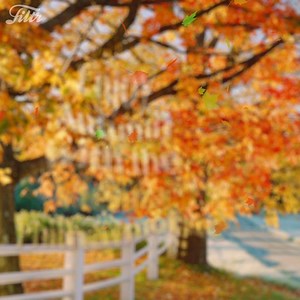 As the new season is now in full swing, enjoy this warming Autumn Classics playlist, featuring beautiful melodies that reflect both the bright autumn colors and the colder days. Immerse yourself in the lushness of this playlist an start listening here: https://bit.ly/3kgy493 | Vienna Philharmonic / Wiener Philharmoniker