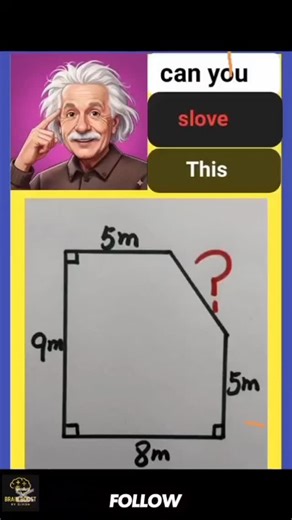 Brain Boost by Diyon on Instagram: "Pythagoras theorem Mathematics techniques #Pythagoras #mathslesson #learnmaths #trendingvideo #fypシ゚"