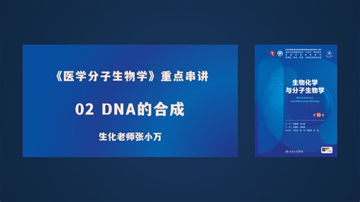 《医学分子生物学》重点串讲——02 DNA的合成