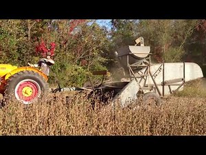 Cutting beans with 1950 Gleaner Model S combine and 1950 Minneapolis Moline UTS