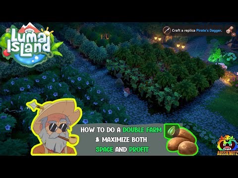 Double Farm setup to maximize space and profit #lumaisland