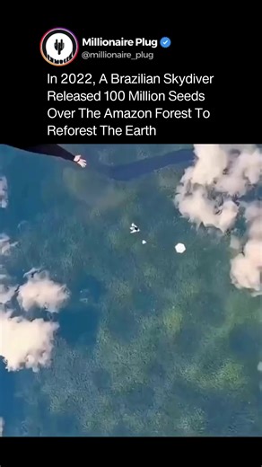 Reforesting the Amazon: 100 Million Seeds from Above
