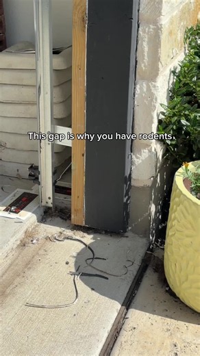 Garage seal up tips to keep rodents out