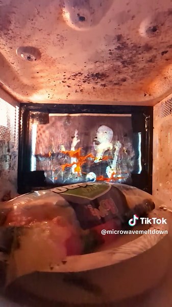 Jelly Beans vs Microwave: A Fun Science Experiment