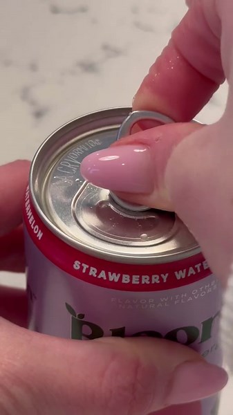 Stanley Tumbler Packing and Tips