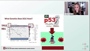 SCLC Overview: Neuroendocrine Subtypes & Treatment