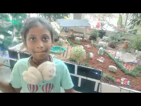 Happy Christmas 💐💐💐