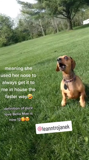 Kortney Geeck (@kortneygeeck)’s videos with original sound - Kortney Geeck