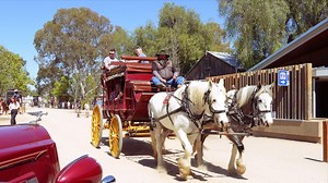🌟 Welcome to the Port Of Echuca Discovery Centre – Experience history like never before! 🌟 Step back in time with our steam-powered exhibits and daily guided tours. Explore the historic wharf and museum, a treasure trove of Echuca's rich history. And the best part? It's a FREE attraction not to be missed! 🚢 Uncover the secrets of our pioneering past and experience the timeless charm of our iconic paddle steamers. 🌿 Sail along the enchanting Murray River, where history meets nature. Echuca – 