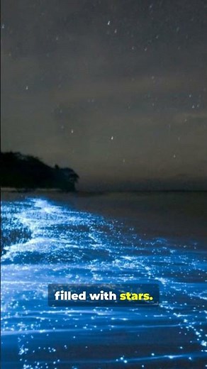 This ocean literally glows at night