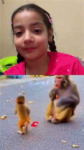 The most unexpected monkey firework fail! 🐒💥 This reaction says it all. #funny #viral #shorts