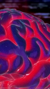 1.1K views | Limitless Knowledge! 易溺 Gain knowledge with us! @adamariejewelry —#neuroscience #science #anatomy #brain #neuro #NASA #spacescience #space #spaceexplorers #spacescience #Saturn #saturnretrograde #JamesWebbSpaceTelescope #hubblespacetelescope #hubbletelescope #astronomy | Glamorous Life | Facebook