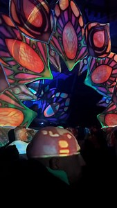 Trance Odyssey 2026 #alienn #crystalmatrix #psytrancefamily #psytrancefestival | ALIENN