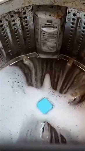 It's time to give the washing machine a bath...