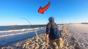 They Were All Beach MONSTERS!! **One Was Mind Blowing** | Bama Beach Bum