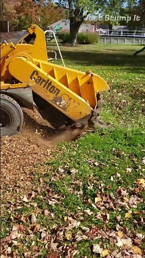 Good luck with your stump removal!