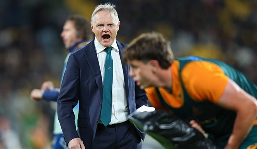 Joe Schmidt: Australia can be 'competitive' against the Lions next year despite rotten start