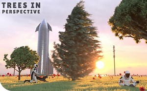 Tree Height Comparison (3D) 树的高低比较