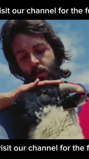 Paul McCartney (Wings) - Mull of kintyre #shorts #short