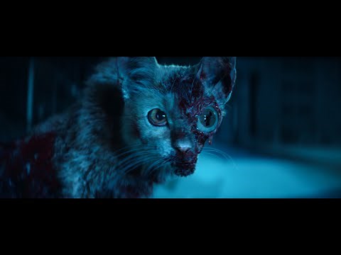 Alien: Earth - Cat host scene (T. Ocellus)