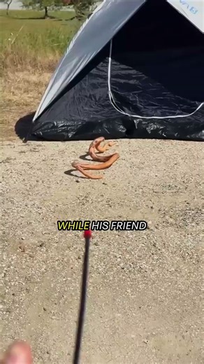 4.5K views · 16 reactions | The Remote-Control Snake Trick | Marching Band Videos | Facebook