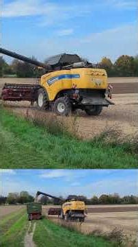Harvesting Soybeans 🇩🇪 (2025-10) {short}