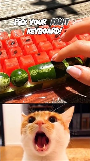 Which Fruit Texture Do You Choose? Watermelon vs Lemon vs Pomegranate ASMR! 🍉🍋