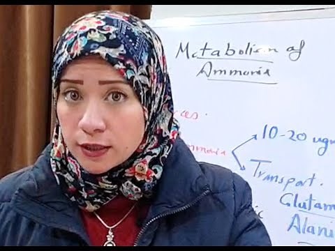 ( Protein Metabolism Session 5) Metabolism of Ammonia