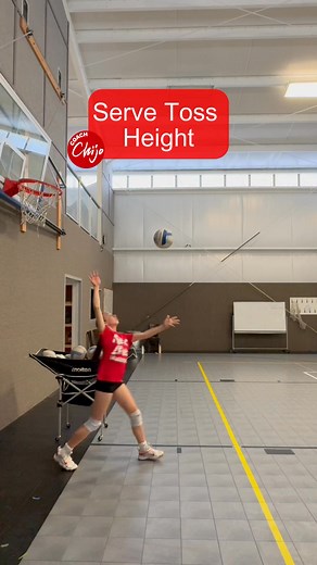 156K views · 1.5K reactions |  SERVE TOSS HEIGHT  How high should your toss be when serving? Use a pool noodle as your visual gauge  Go up on your toes ⬆️ Reach up high with one hand ✋ The toss should land right at your fingertips ☝️ ✅ Not too high. ✅ Not too low. ✅ Just right  Pool noodle = perfect target zone  JUST GO! #servetoss #volleyballserve #volleyballserver #volleyball #volleyballplayer #athlete #sports | Coach Chijo | Facebook