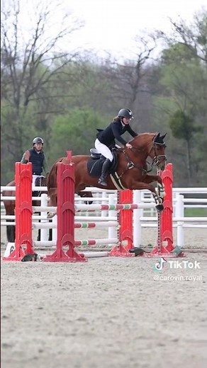 Petit short #cheval #poney #équitation #equestrian #chevaux #horses #shorts #vidéo #saut #obstacles
