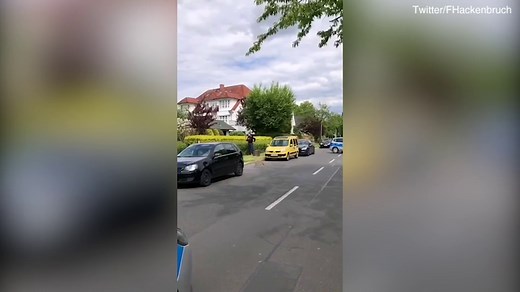 Boars stampede down Berlin street