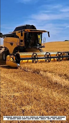 How Wheat Is Harvested So Efficiently