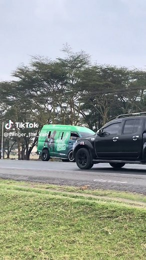 Stinger Dance Challenge 2024 on TikTok